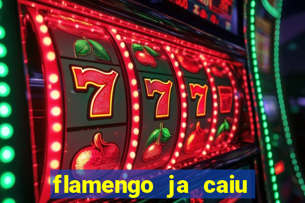 flamengo ja caiu para serie b